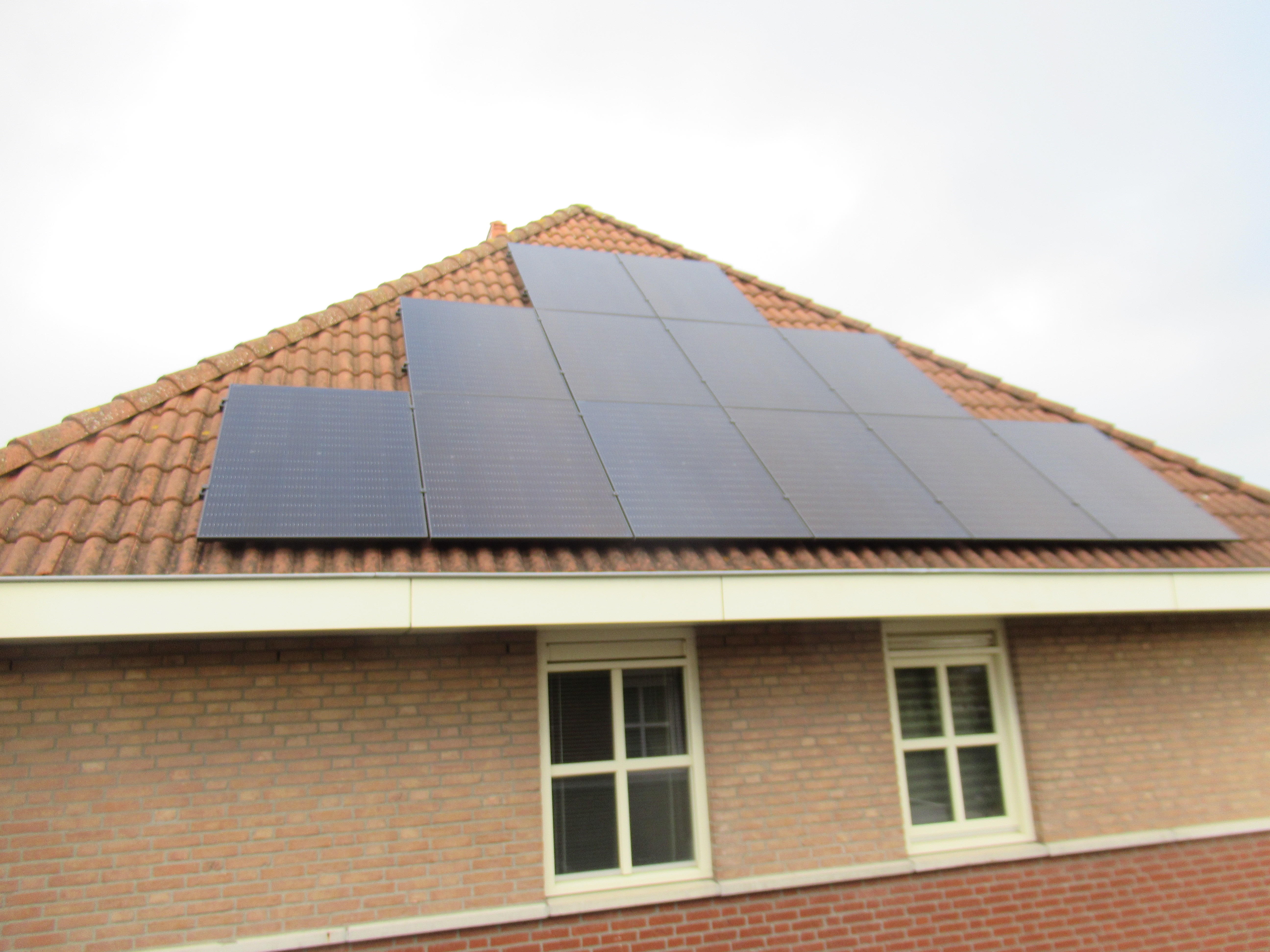 Zonnepanelen-Duifkruid-Tiel